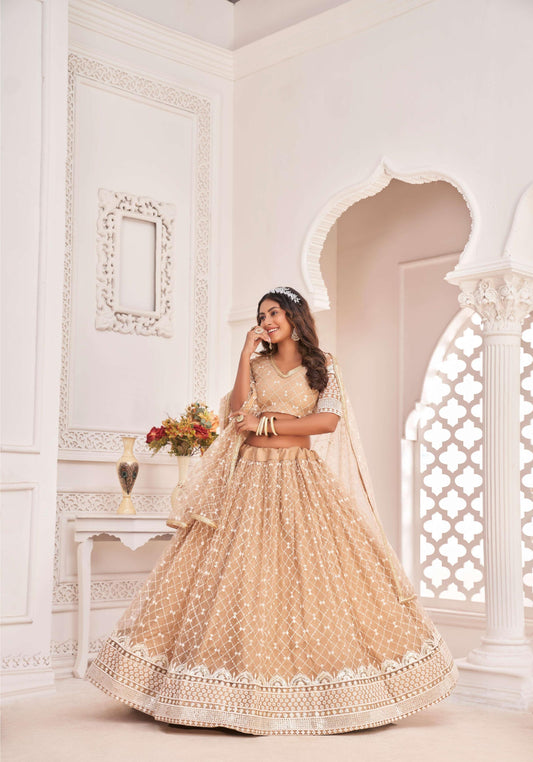 Simple chiku lehenga choli for women