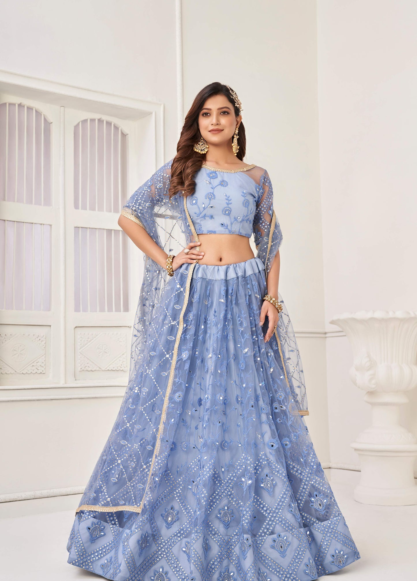 Blue net embroidery work lehenga choli for women with price