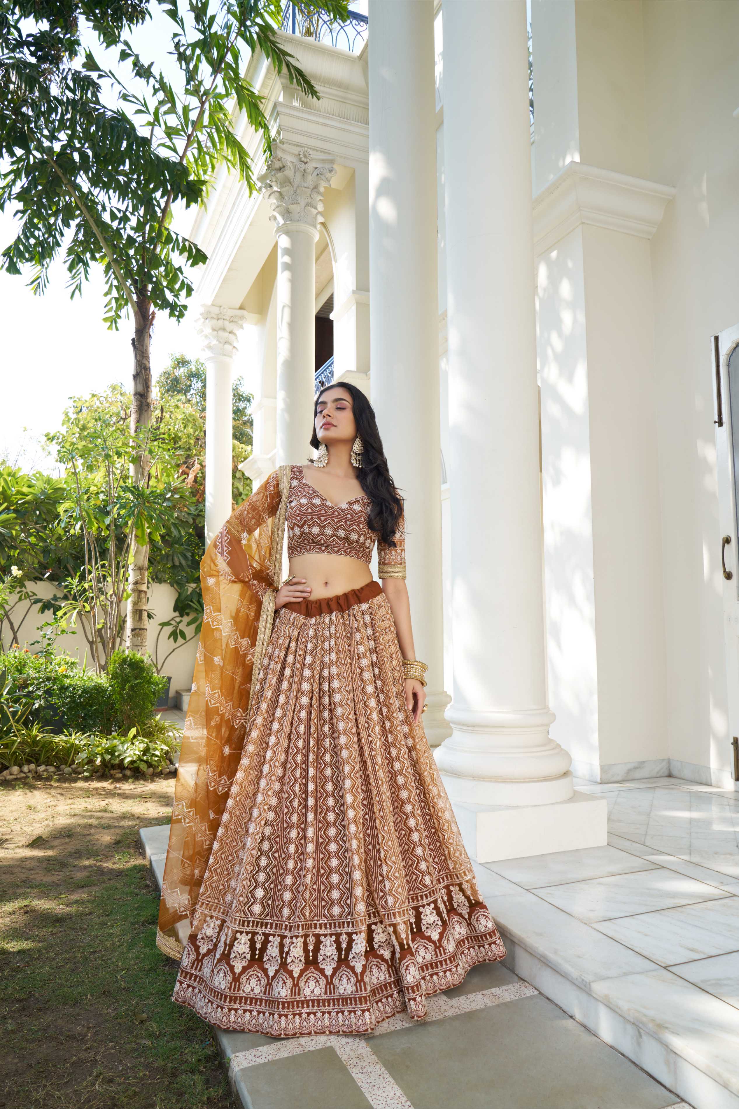Brown Elegant Butterfly Net Lehenga with Intricate Embroidery Brown Elegant Butterfly Net Lehenga with Intricate Embroidery