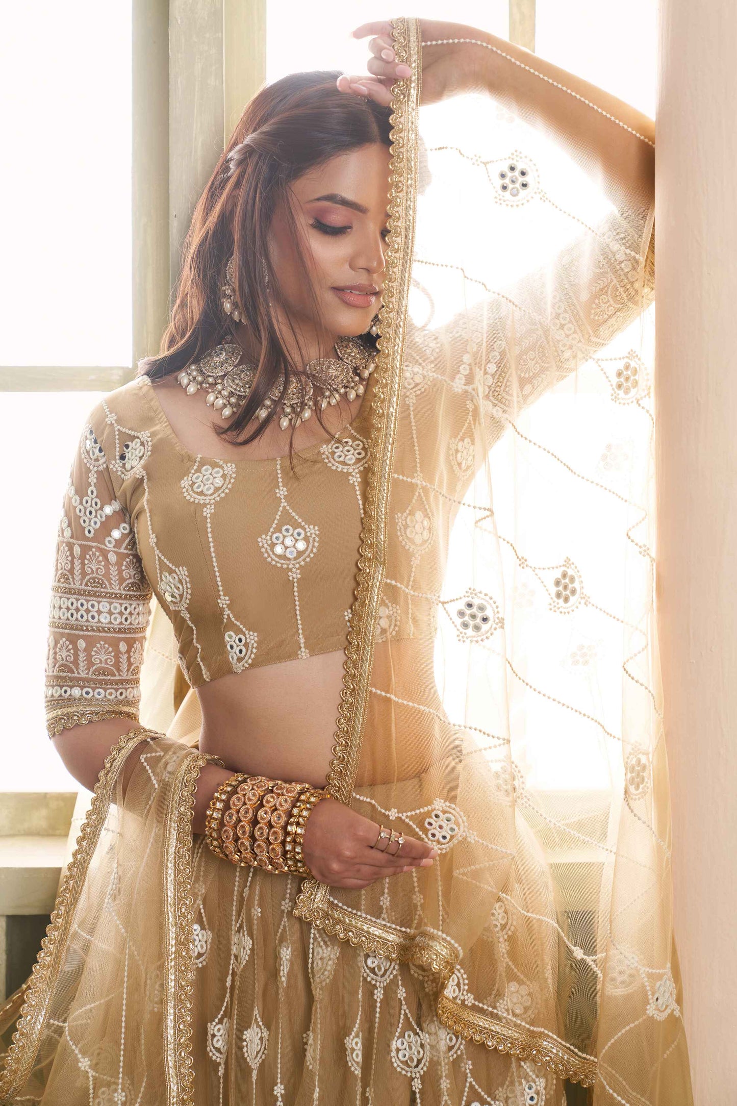Chiku color butterfly net lehenga choli price