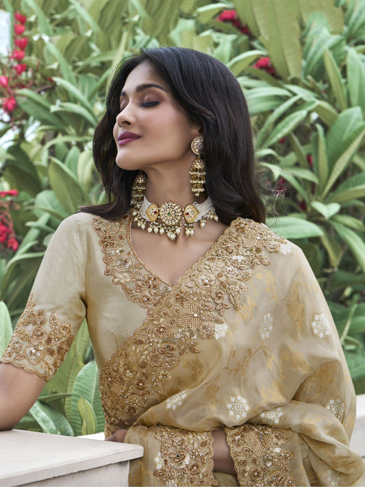 Tissue Saree for wedding