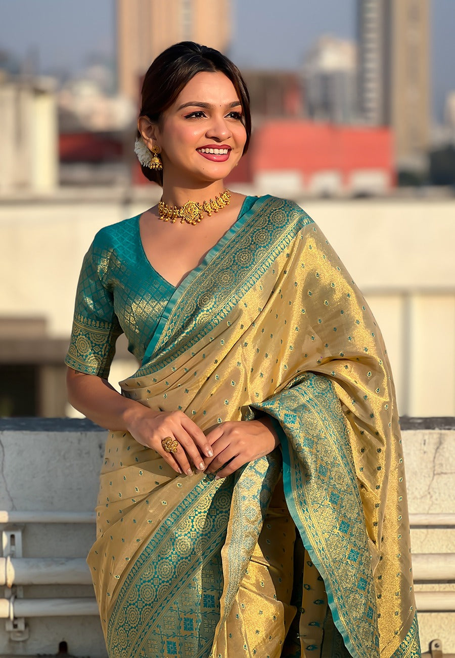 Beige Color Saree Party Wear