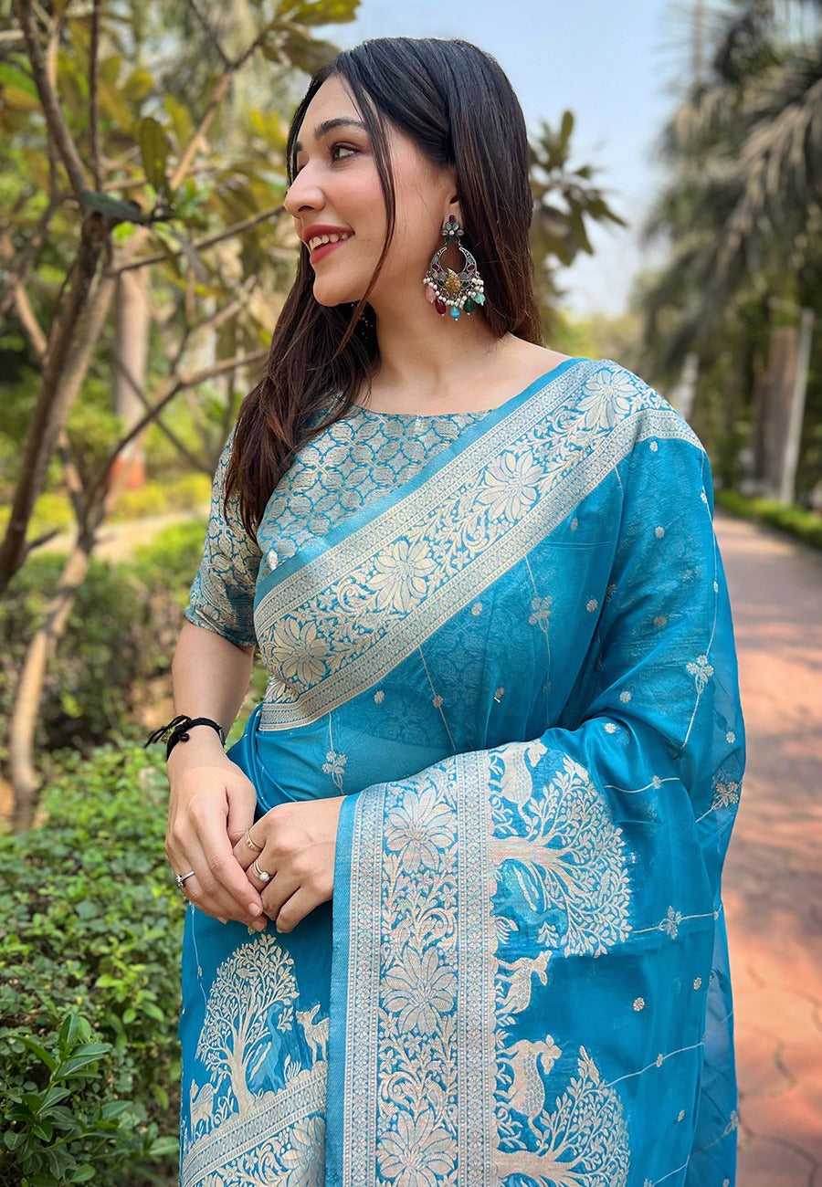 Sky color organza saree for women images