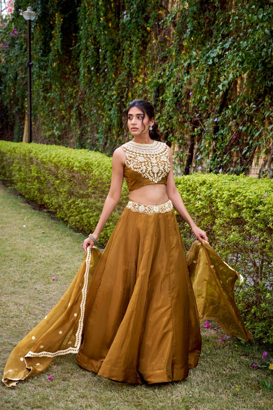 Bronze Color Sequins Work Chaniya Choli for Wedding