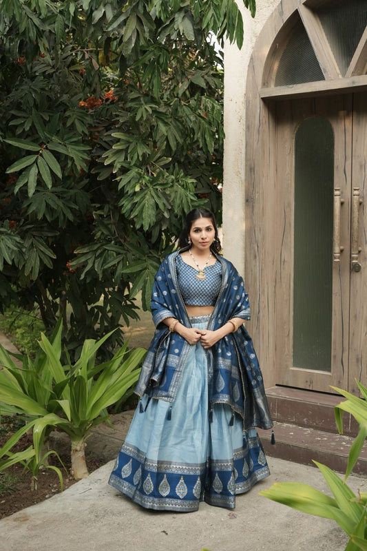 South Indian Sky Blue Kanchipuram Silk Party Lehenga Choli