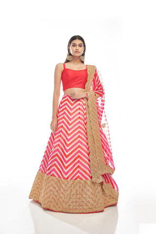 Pink organza printed dori sequins lehenga choli price