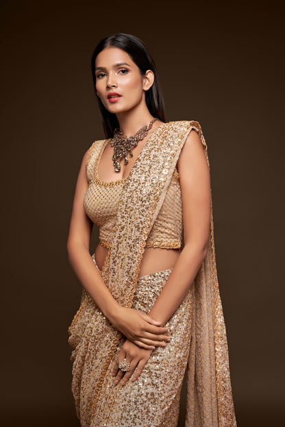 Evening sequins party Saree