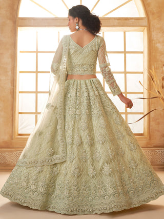 Pista color soft net lehenga choli online shopping 