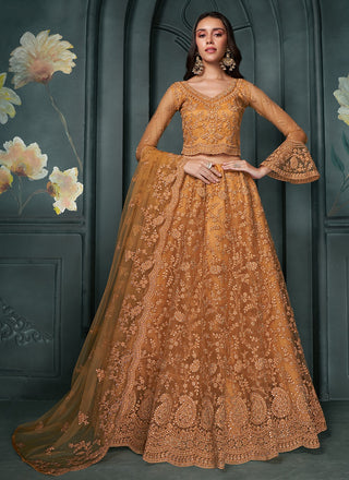 Brown color net lehenga choli