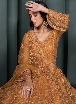 Brown color net lehenga choli online shopping 