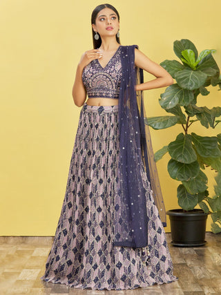 Stunning Blue Traditional Lehenga Choli