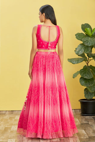 Lehenga Choli for women