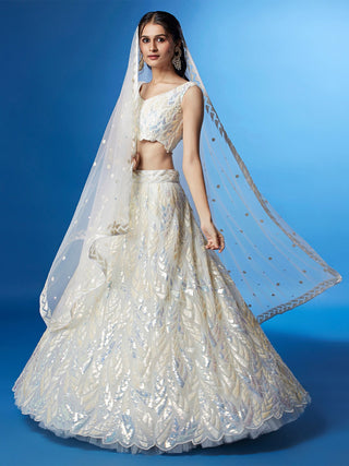 Net Lehenga Choli with Dupatta
