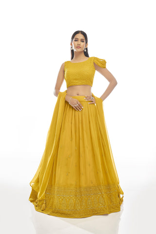 Mustard Yellow Lehenga combination