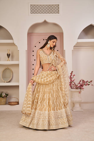 beige soft net party wear lehenga choli