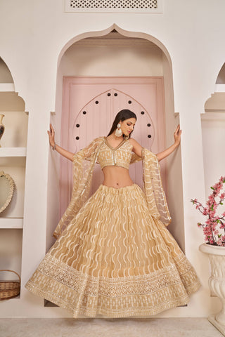 sequins work lehenga choli for women