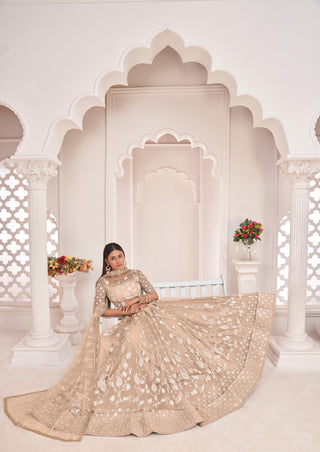 Lehenga choli for wedding wear