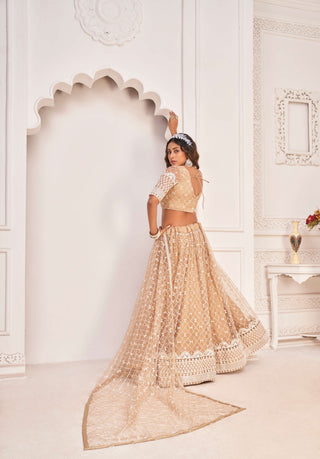 Wedding wear lehenga choli for women