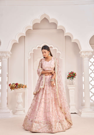 Onion lehenga choli for women with price
