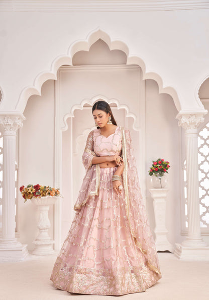 Onion lehenga choli for women with price

