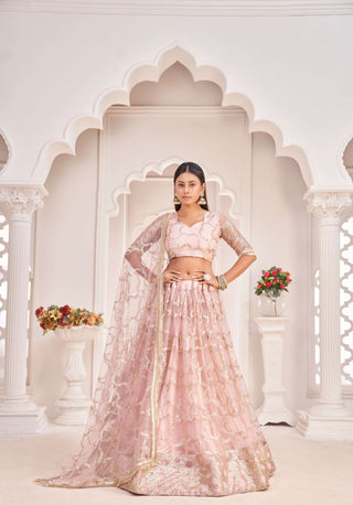 Onion lehenga choli for women party wear
