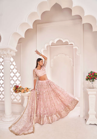 Onion lehenga choli for women online
