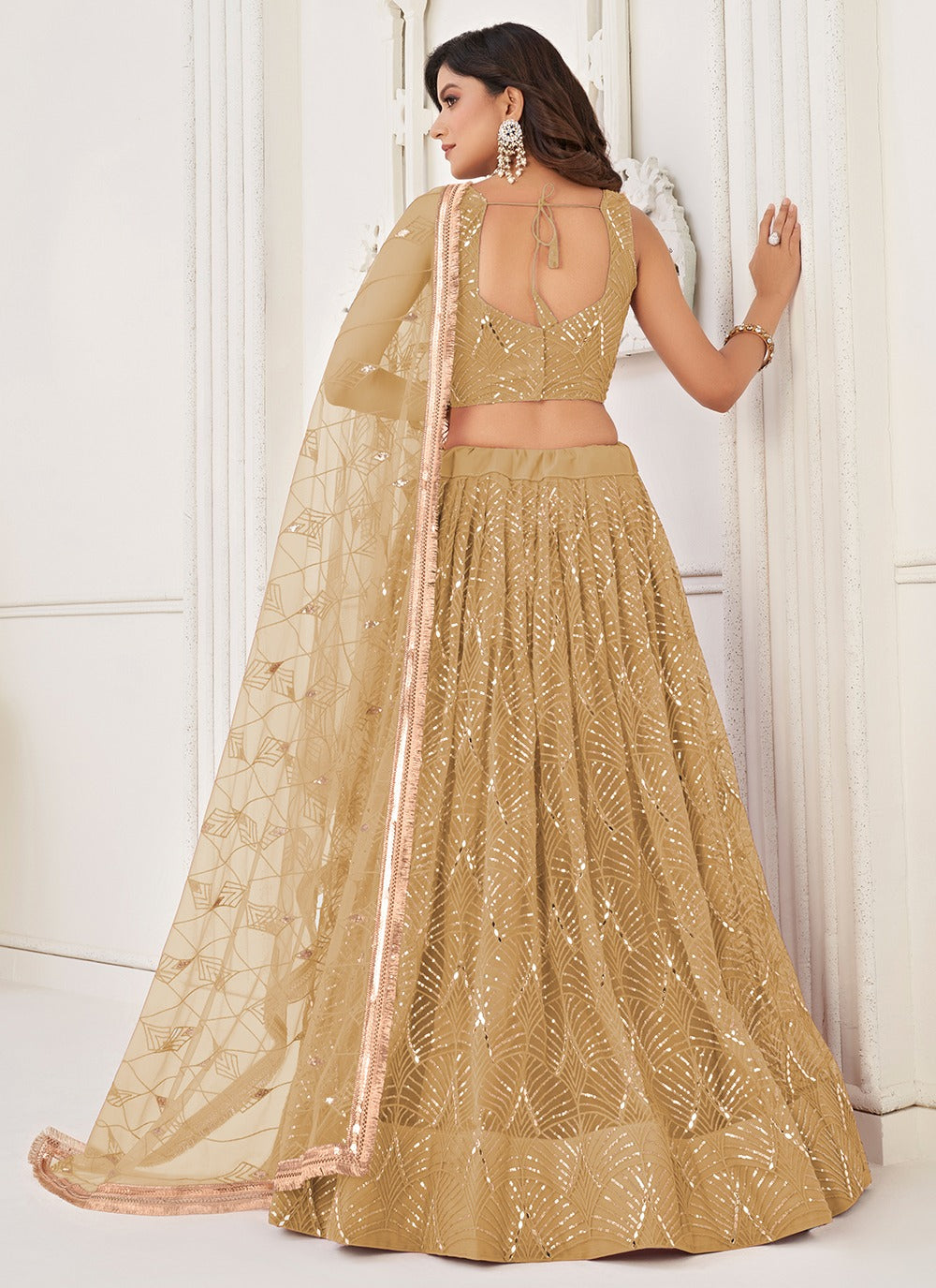 Beige color butterfly net lehenga choli images
