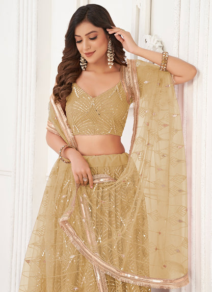 Beige color butterfly net lehenga choli design look
