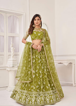 Mehendi color butterfly net lehenga choli price