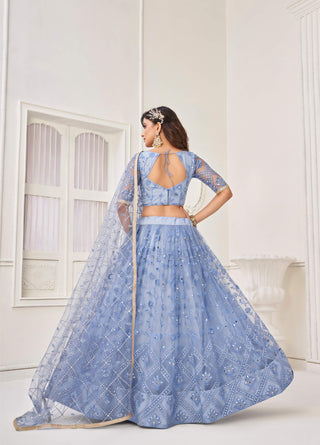 Stylish Butterfly net lehenga choli