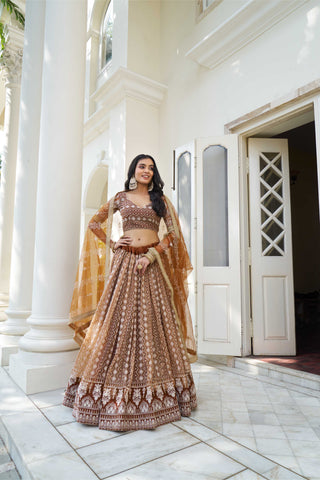 Brown Lehenga Choli
