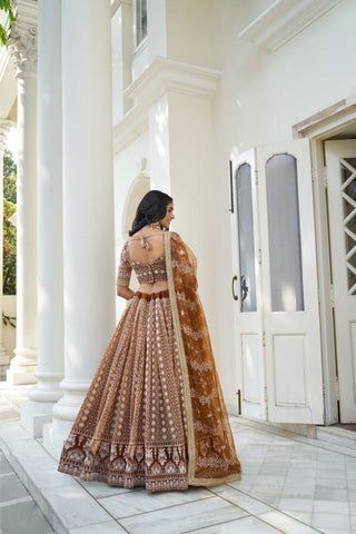 Brown Lehenga for Women
