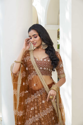 Wedding wear brown lehenga choli