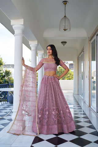 Light pink colour lehenga for women
