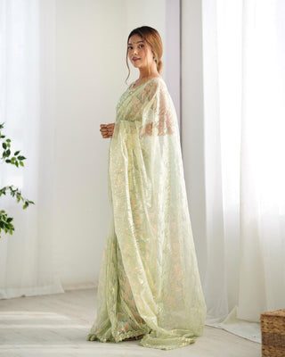 Pista color mono net saree design look usa free shipping
