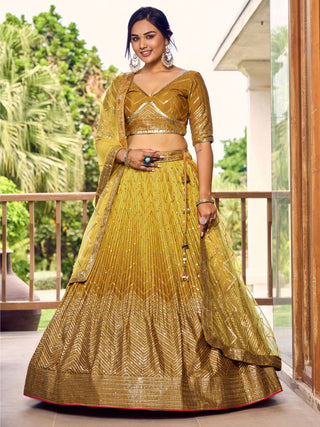 Designer ethnic wear lehenga choli