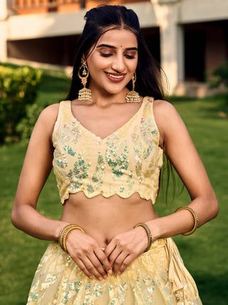 Yellow Lehenga Choli for haldi 