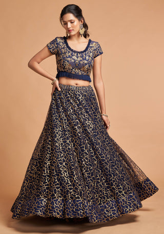 Navy Blue Lehenga Choli