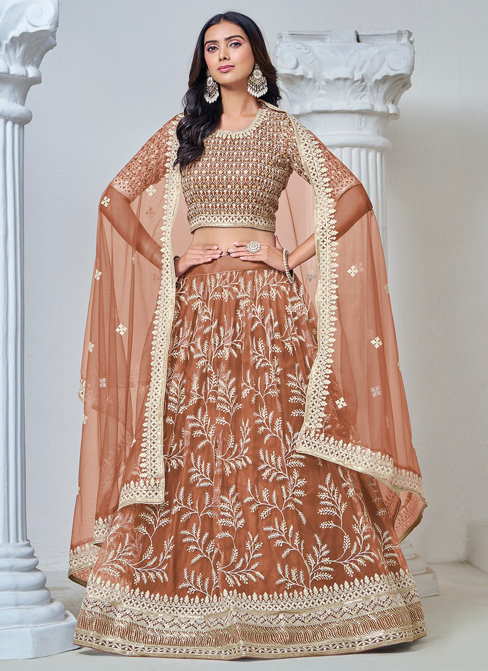 Brown color net lehenga choli for women with price
