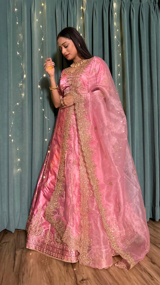 Peach colour Lehenga for women
