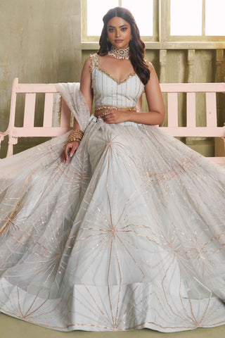 Light grey color butterfly net lehenga choli with dupatta