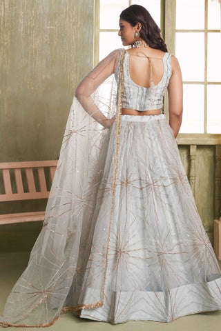 Light grey color butterfly net lehenga choli for women