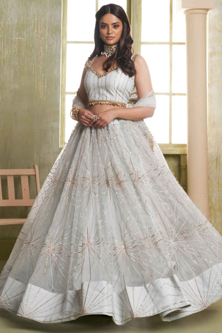 Light grey color butterfly net lehenga choli