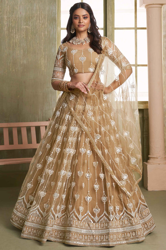 Chiku color butterfly net lehenga choli for women 