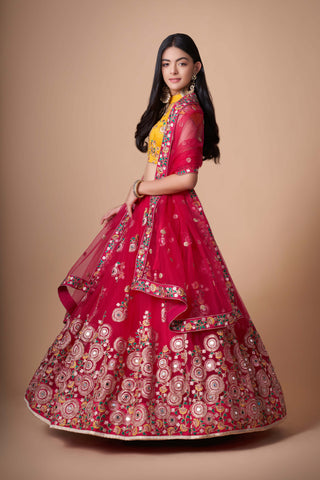 soft net Rani lehenga combination blouse