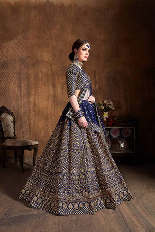 Navy blue Lehenga with jewellery