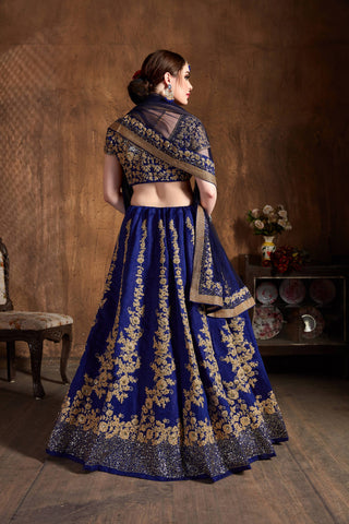 Navy blue Lehenga with jewellery