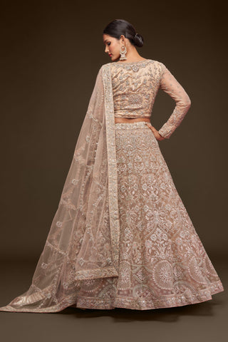 Beige color lehenga choli 