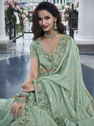 Pista Color embroidery work saree price