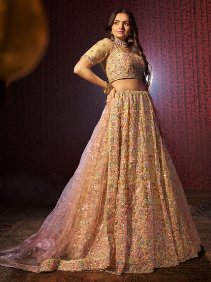 Beige color net lehenga choli with dupatta
